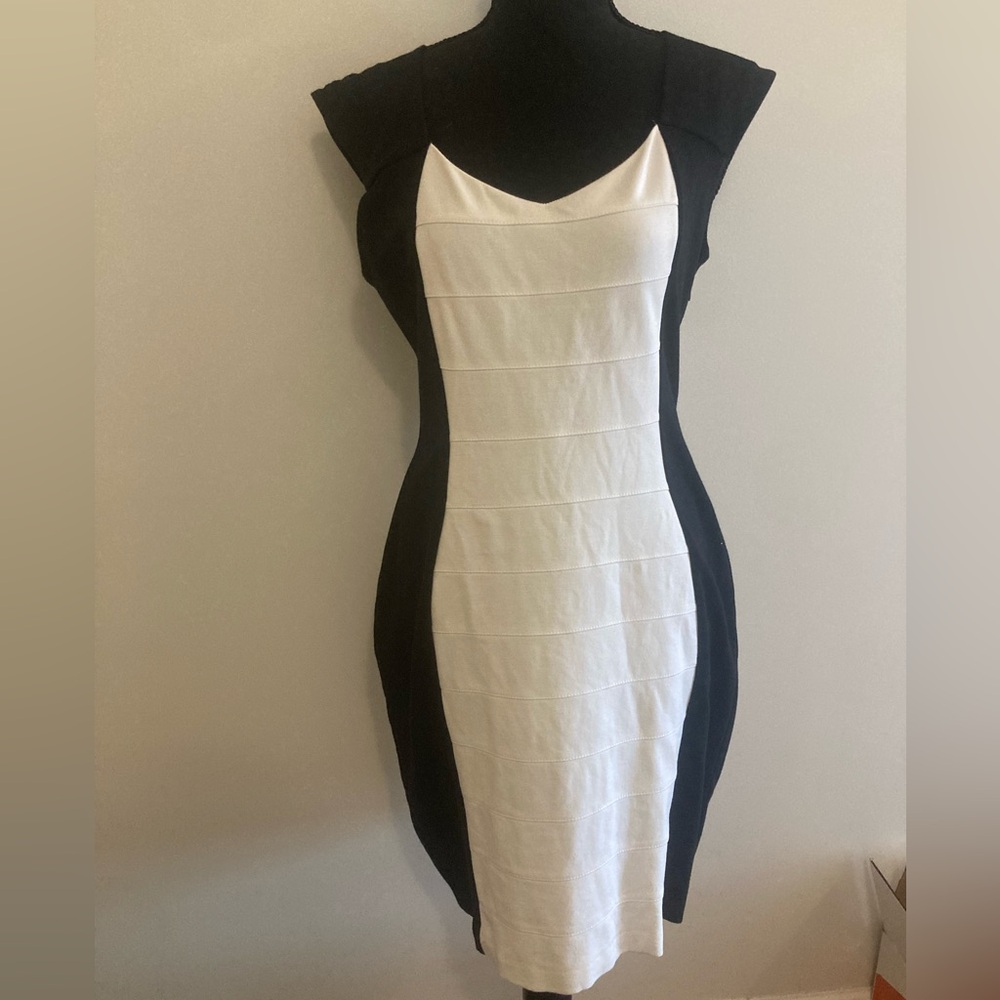 Elegant Black and White Dress